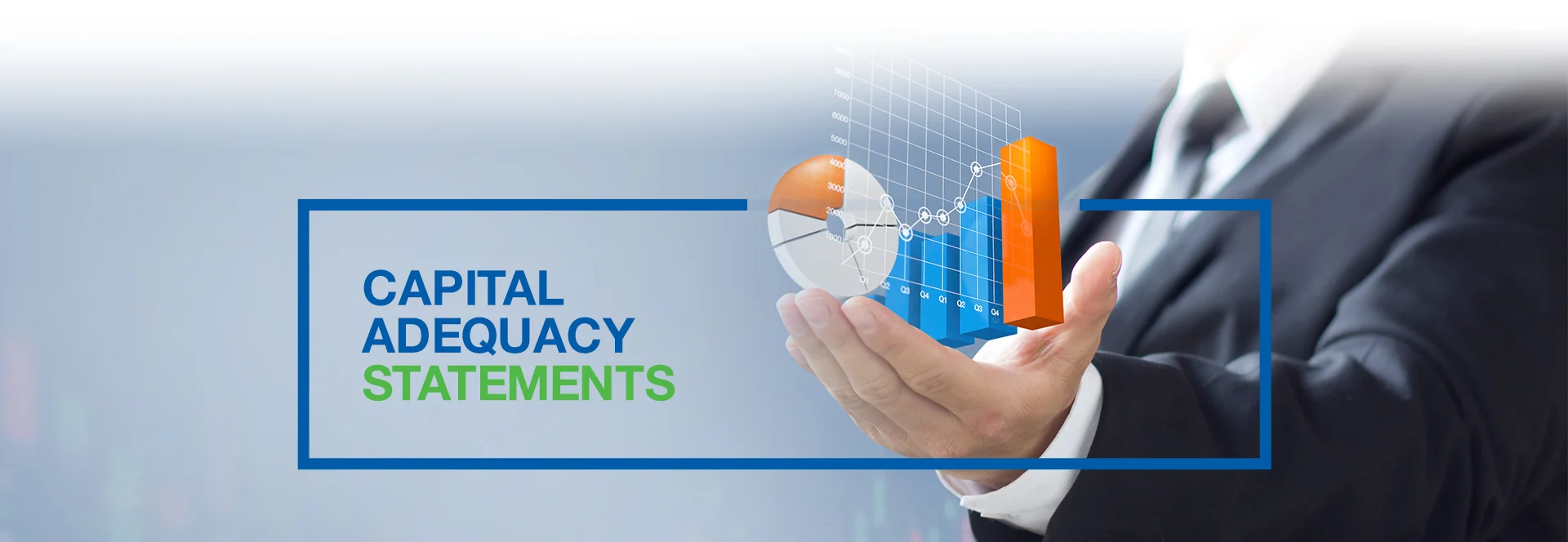 کیپٹل ایڈیکاسی سٹیٹمنٹس