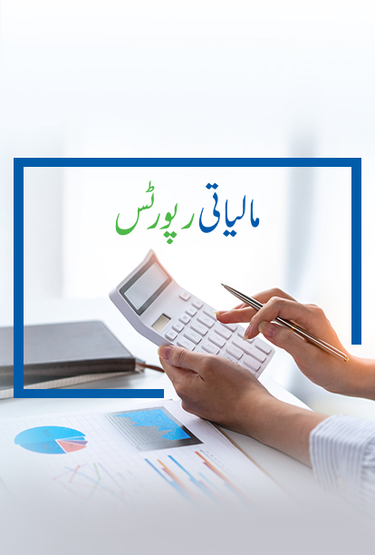 مالیاتی رپورٹس