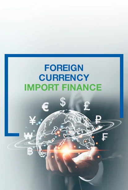 غیر ملکی کرنسی امپورٹ فنانس (FCIF)