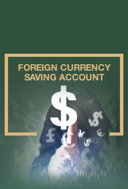 غیر ملکی کرنسی سیونگ اکاؤنٹ