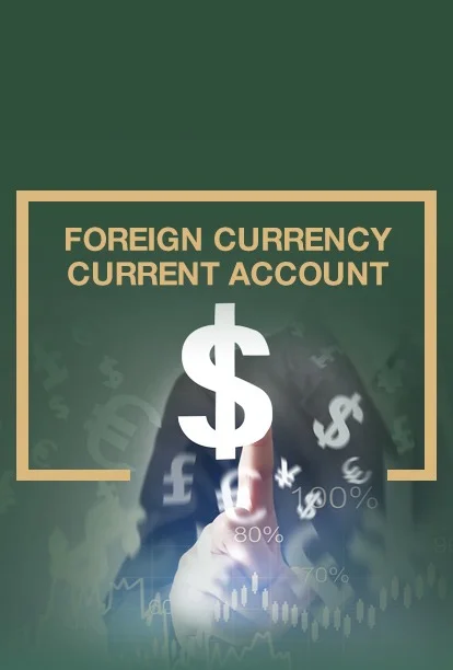غیر ملکی کرنسی کرنٹ اکاؤنٹ