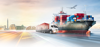 EXIM-Export Finance Scheme (E-EFS)