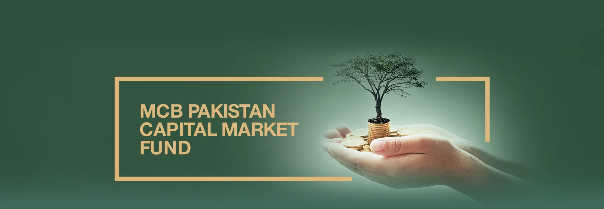 ایم سی بی پاکستان کیپٹل مارکیٹ فنڈ