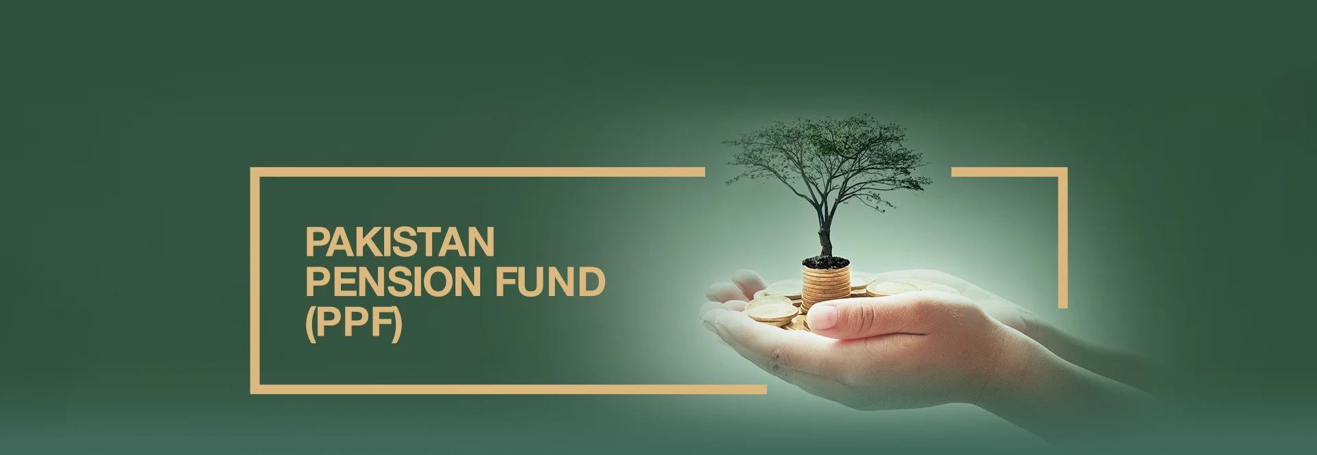 پاکستان پنشن فنڈ (PPF)