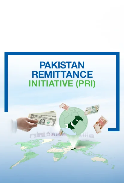 پاکستان ریمیٹنس انیشیٹو (PRI)