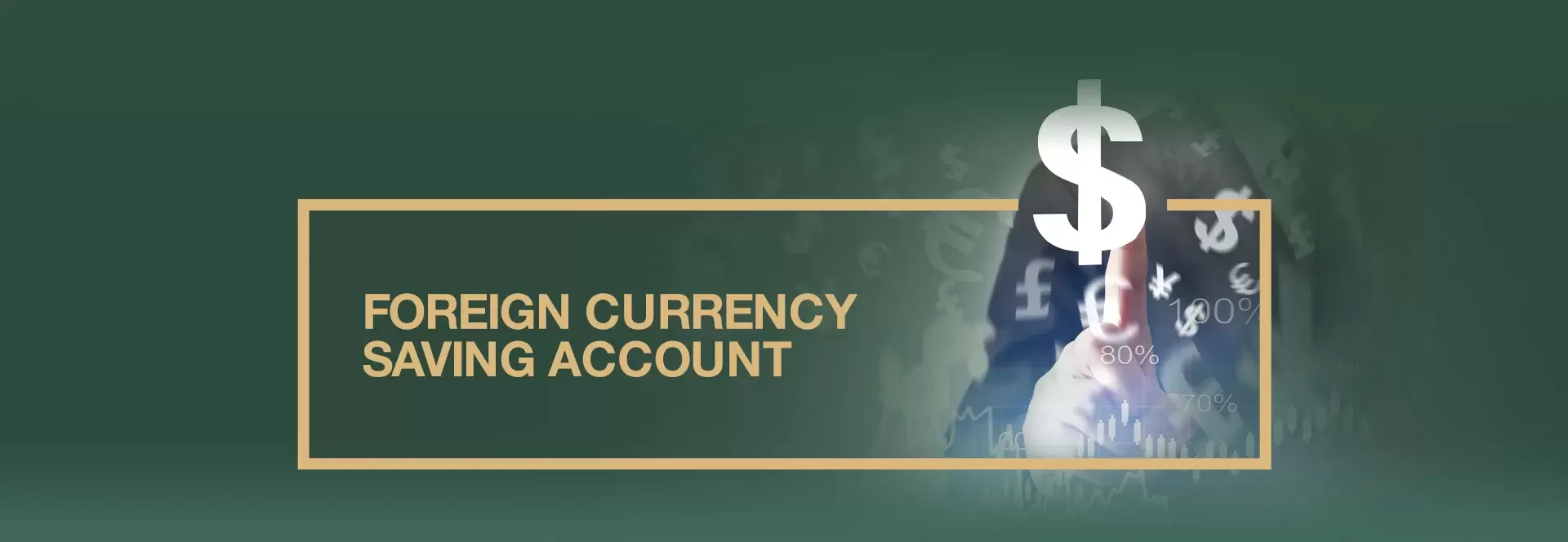 Foreign Currency Saving Account