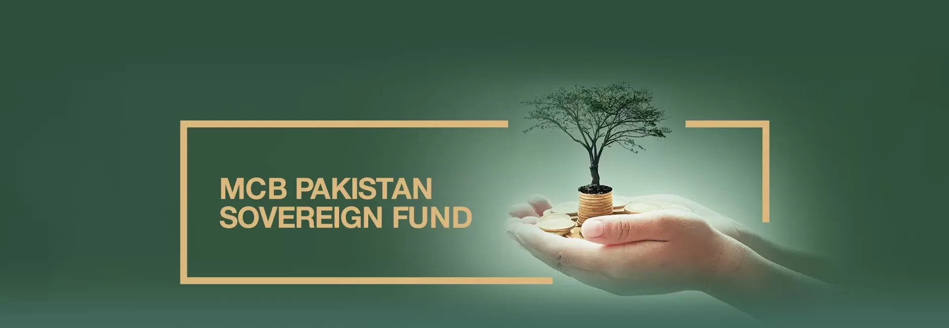 Pakistan Income Enhancement Fund 